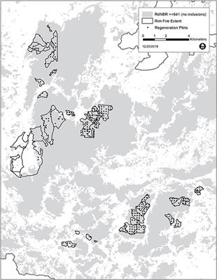 Impacts of Postfire Management Are Unjustified in Spotted <mark class="highlighted">Owl</mark> Habitat